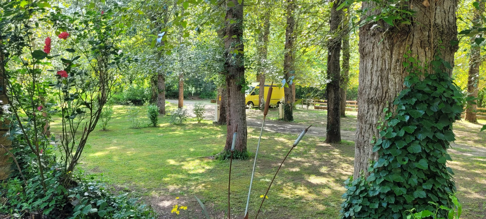 Kampeerplaatsen tussen de bomen, met bloeiende hibiscus