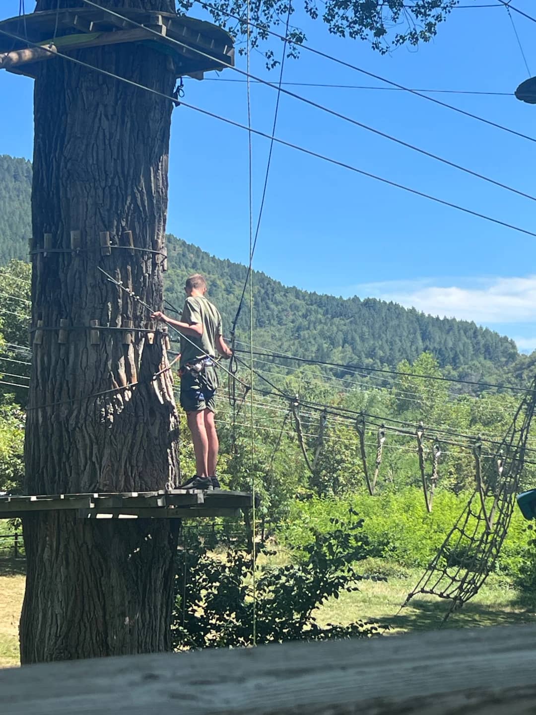 Klimmen tussen de bomen bij Cévennes Évasion