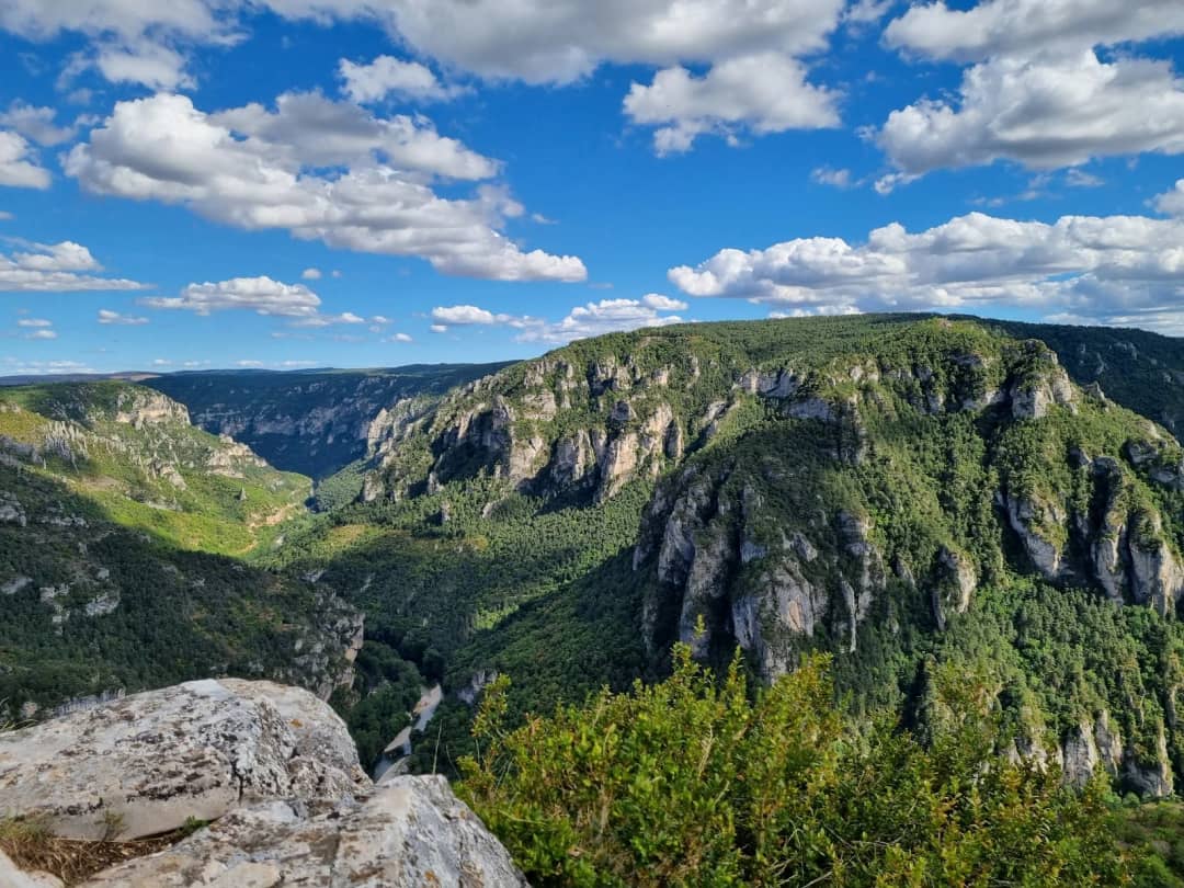 Uitzicht over de Gorges du Tarn vanaf Point Sublime