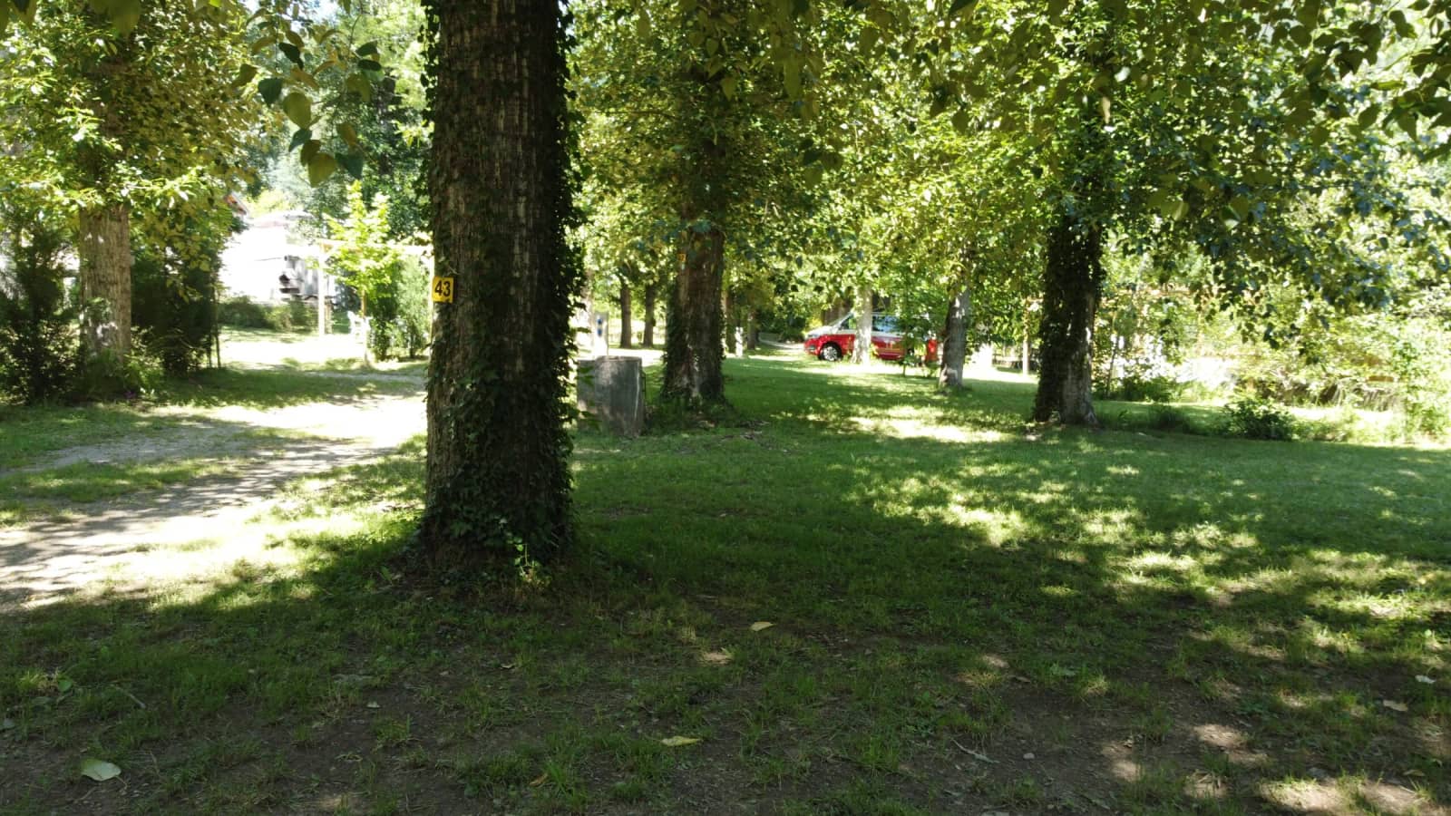 Schaduwrijke kampeerplaatsen onder de hoge bomen