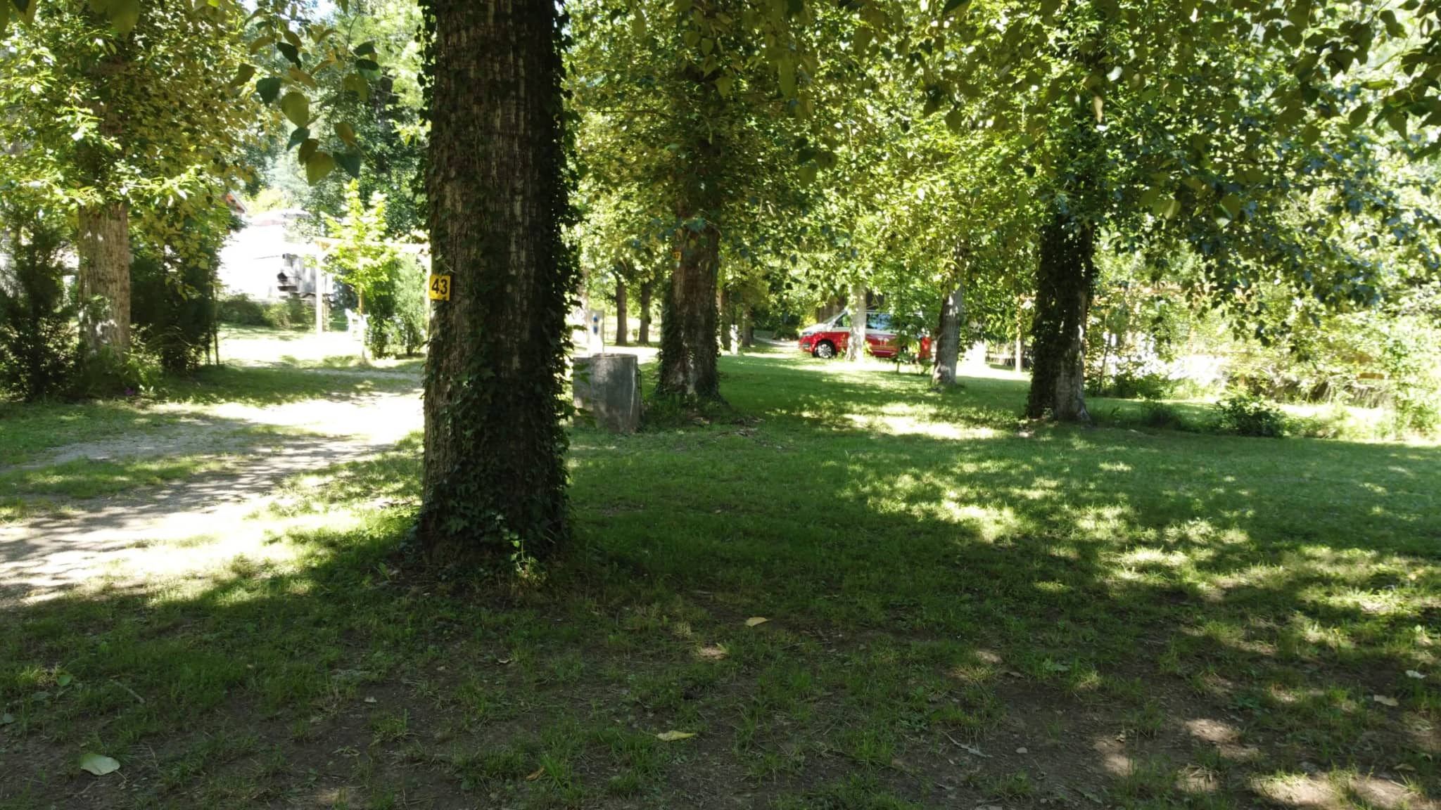 Schaduwrijke kampeerplaatsen onder de hoge bomen